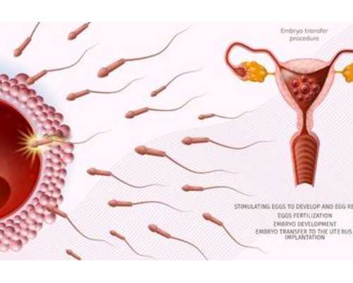 上海代怀机构网站,试管促排性激素水平变化？泰国试管婴儿一年内促排多少次