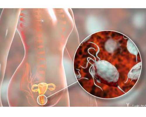 上海代孕服务公司,上海抽脂手术的价格分析与咨询注意事项