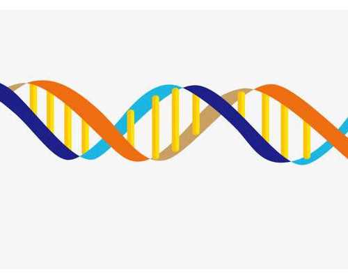 上海正规代怀费用,做试管婴儿为什么也会宫外孕？其原因很常见_上海供卵试管