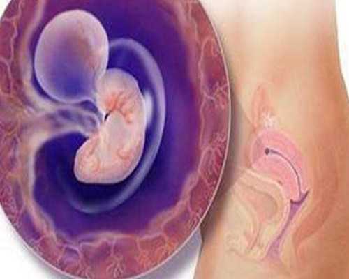 上海供卵生子中介 上海冻卵费用 ‘怀儿子女儿肚型图片’