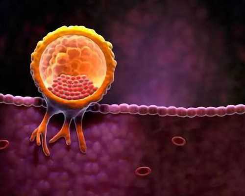 上海怎么找借腹生子中介,上海供卵试管价格多少钱,【上海代孕基地，孕育奇迹