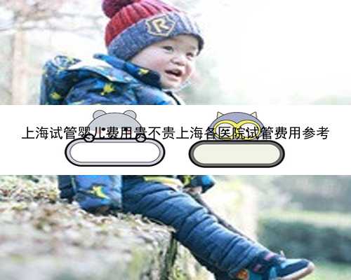 上海试管婴儿费用贵不贵上海各医院试管费用参考