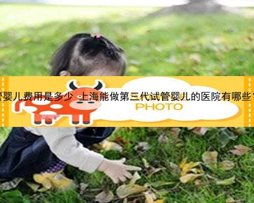 青岛医院试管婴儿费用是多少 上海能做第三代试管婴儿的医院有哪些？附排名