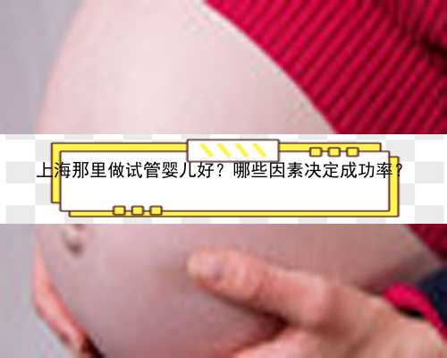 上海那里做试管婴儿好？哪些因素决定成功率？