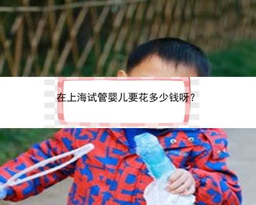 在上海试管婴儿要花多少钱呀？